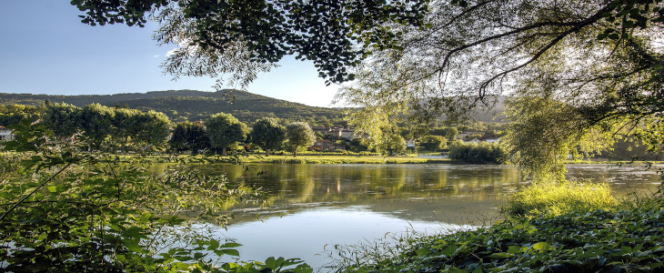 Image illustrant le projet Les Clos de la Loire